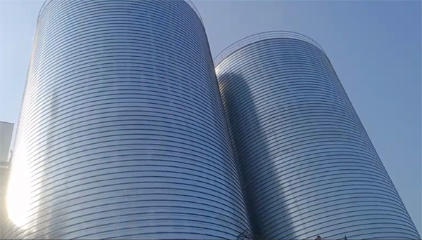 安阳2座混凝土高架卷板仓